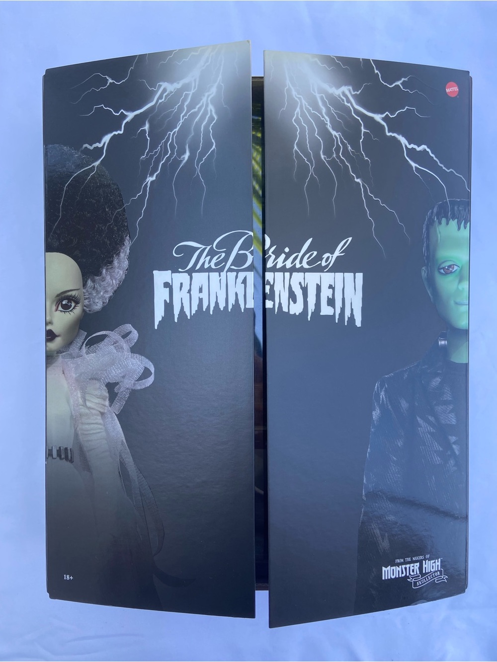 Mattel Monster High The Bride of Frankenstein Box Art - Black & Green